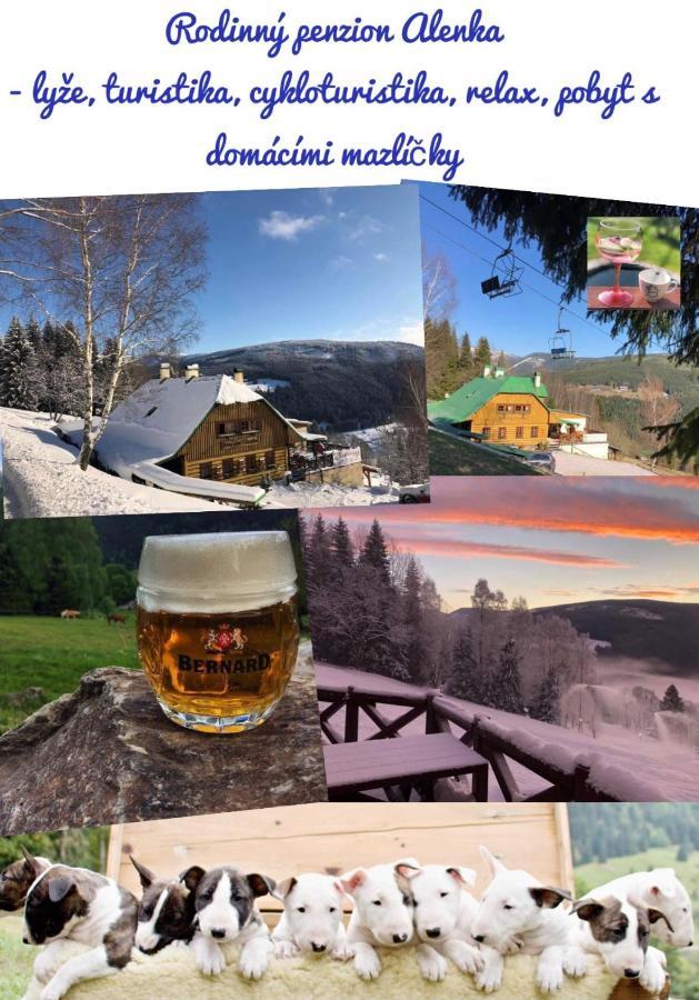 Penzion Alenka Špindlerŭv Mlýn Luaran gambar