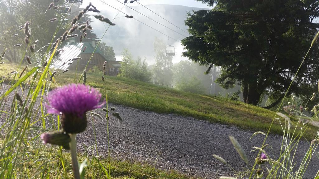 Penzion Alenka Špindlerŭv Mlýn Luaran gambar