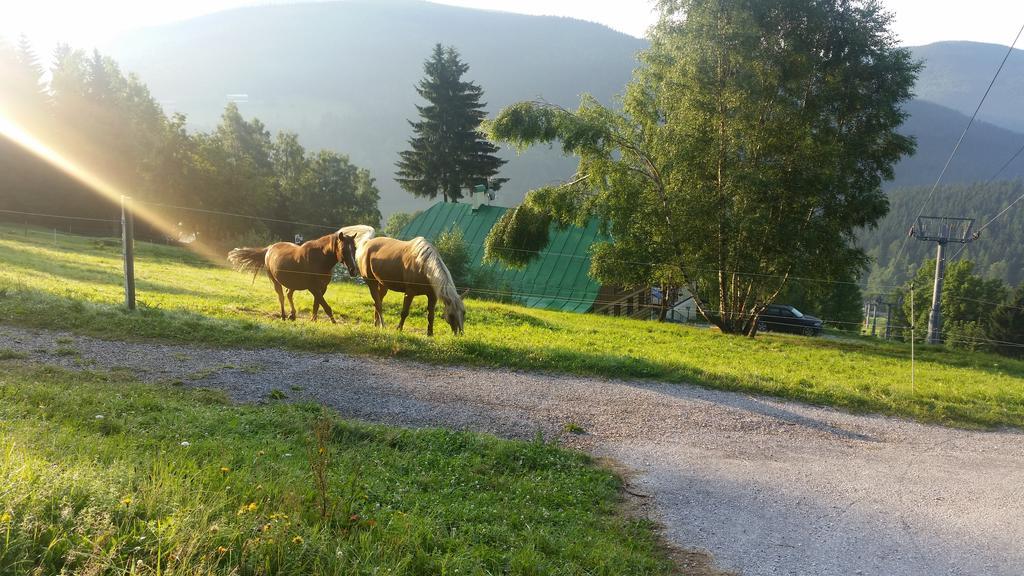 Penzion Alenka Špindlerŭv Mlýn Luaran gambar